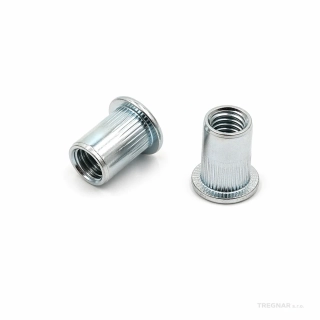 Nýtovací matice s plochou hlavou M10, 17 mm, Balení 250ks